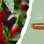 Chile de Arbol