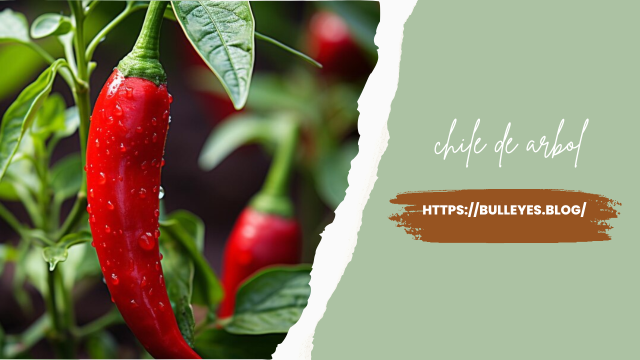 Chile de Arbol