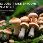 How Long Does It Take Shrooms to Kick In