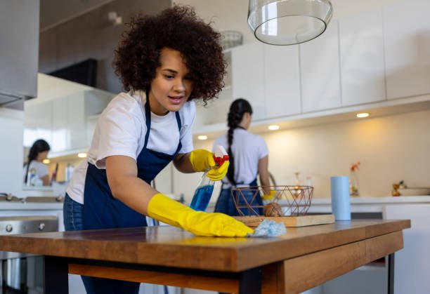 Cleaning Services in Germany