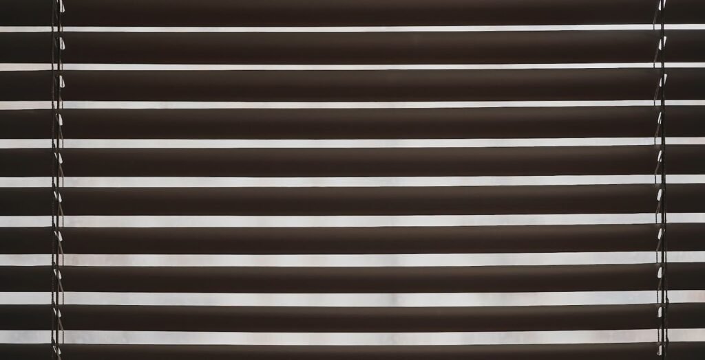 Pleated Blinds