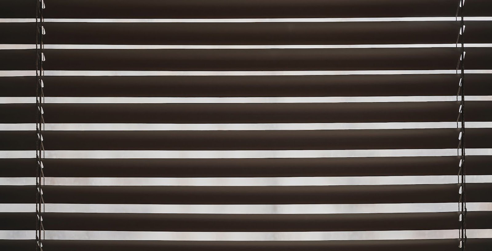 Pleated Blinds